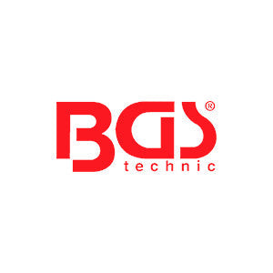BGS